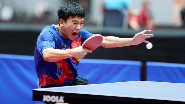 岭的机会 岭的机会