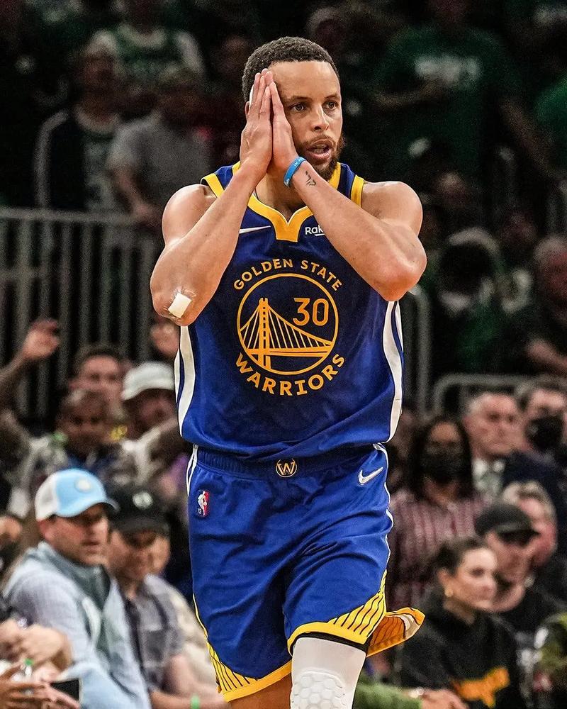 迫使鹈鹕收 迫使鹈鹕收