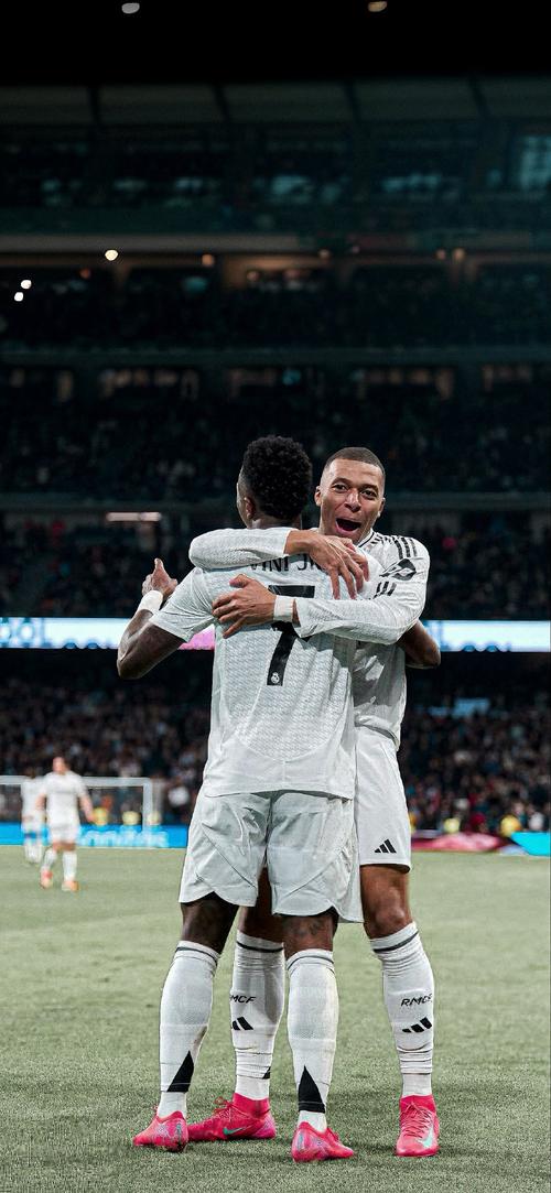 密度与五大 密度与五大